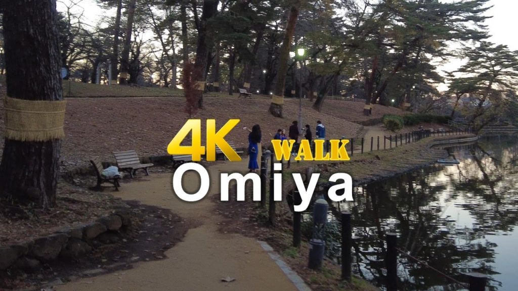 4k walk【JAPAN walk】 Omiya Park 0069 ASMR 4k walk【JAPAN walk】 Omiya Park 0069 ASMR