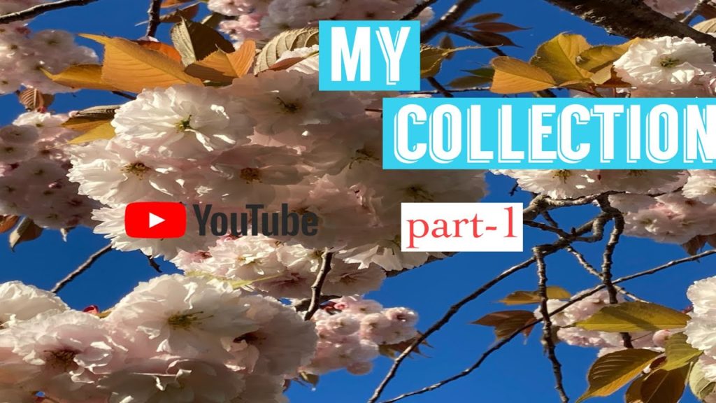 A glance at flowers , HOKKAIDO/JAPAN/TRAVEL VLOG/INDIANINJAPAN