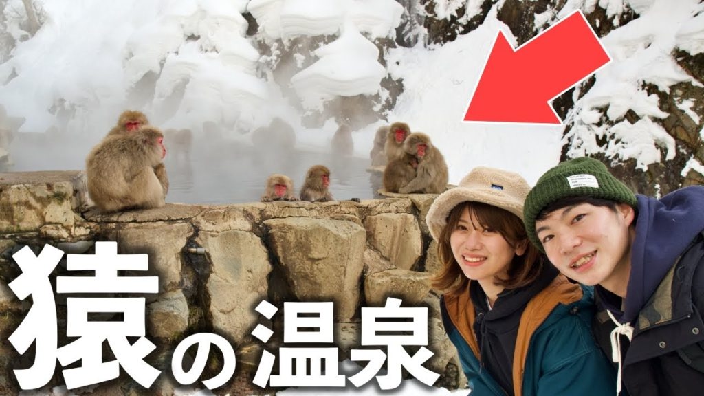 【長野観光】善光寺参り＆猿の温泉。世界でここだけの姿が可愛すぎる！