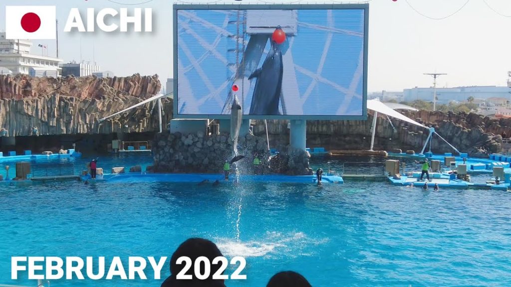 【愛知】名古屋港水族館 – イルカパフォーマンス(ノーカット15分) Dolphin Show at Port of Nagoya Public Aquarium, Aichi, Japan 【愛知】名古屋港水族館 - イルカパフォーマンス(ノーカット15分) Dolphin Show at Port of Nagoya Public Aquarium, Aichi, Japan