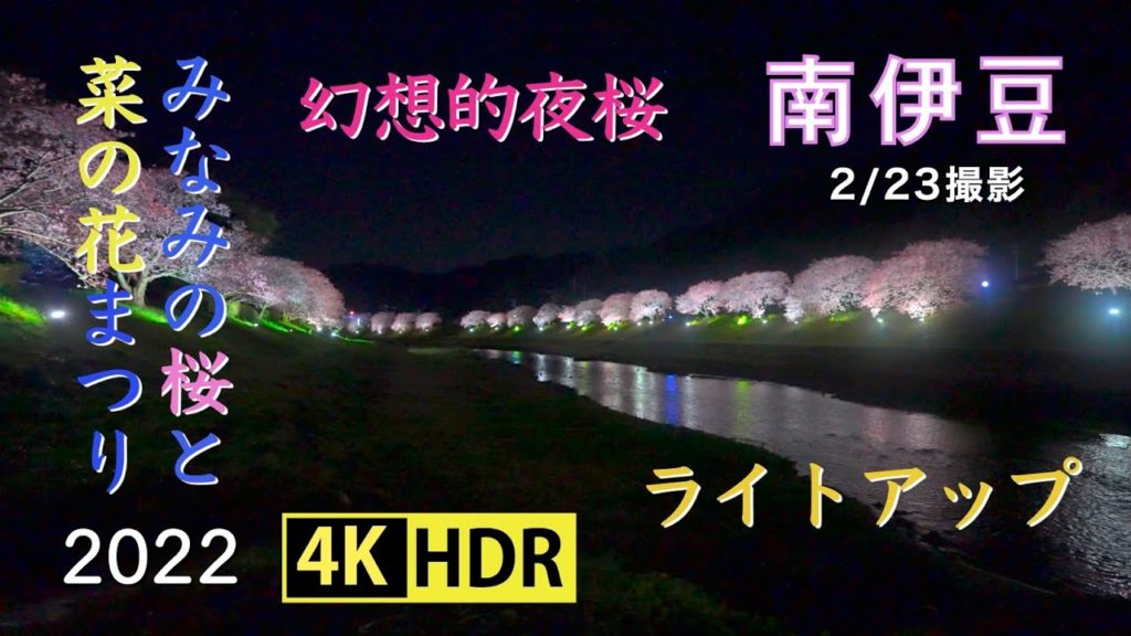 2022 みなみの桜と菜の花まつりライトアップ(4K-HDR) Illuminated Kawazu Cherry Blossoms At South Izu(UHD-HDR)