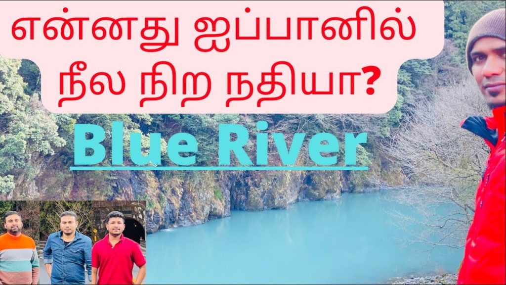 Blue river in shizuoka |Japan | நீல நிற நதி l தேயிலை தோட்டம்| ஜப்பான்| shizuoka Trip part-1 rasworld