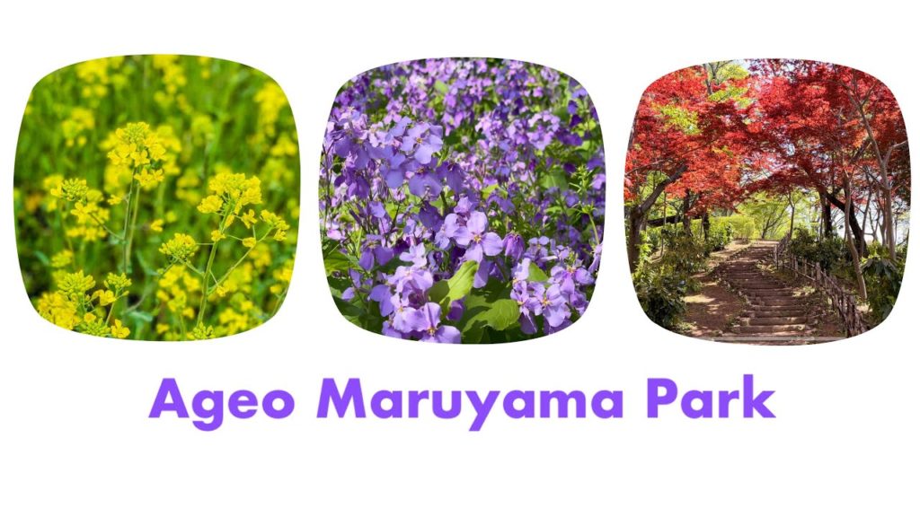 [Japan Travel] Ageo Maruyama Park || 上尾丸山公園 [4K]