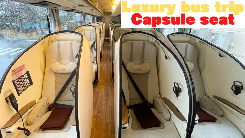 【Luxury bus】Shell-typed comfortable seat 'REBORN' trip ~ Niigata to Tokyo  #reborn #bus