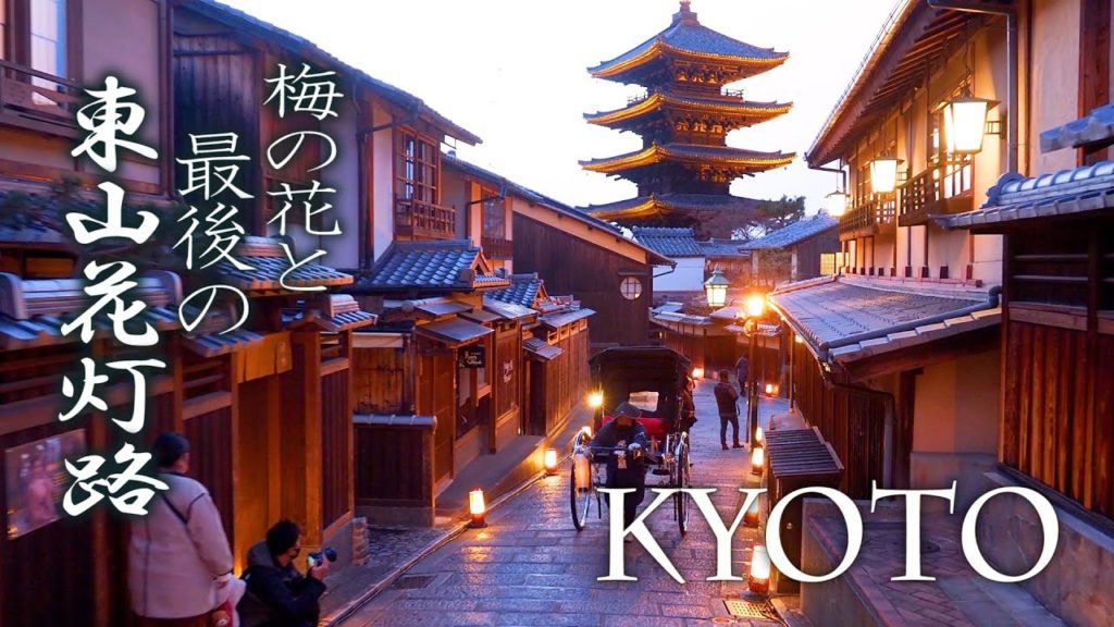 KYOTO. Plum Blossoms and Nights of 'Hanatoro' Lights.梅の花と最後の東山花灯路. #4K #梅苑 #東山花灯路