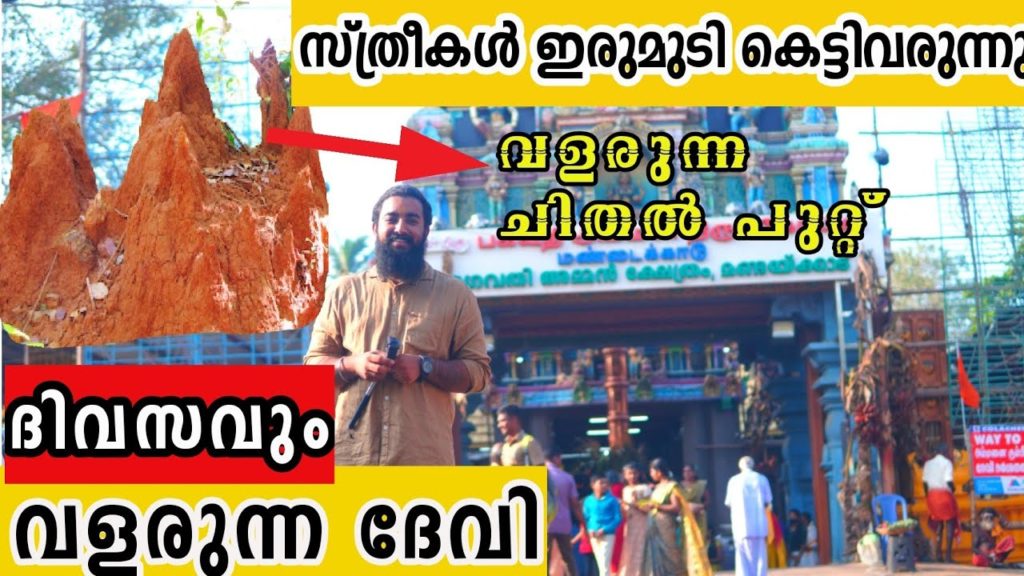 ദിവസേന ദേവി വളർന്നു കൊണ്ടിരിക്കുന്ന ക്ഷേത്രമോ?😳മണ്ടയ്ക്കാട്  സ്ത്രീകളുടെ ശബരിമല Mondaikkadu