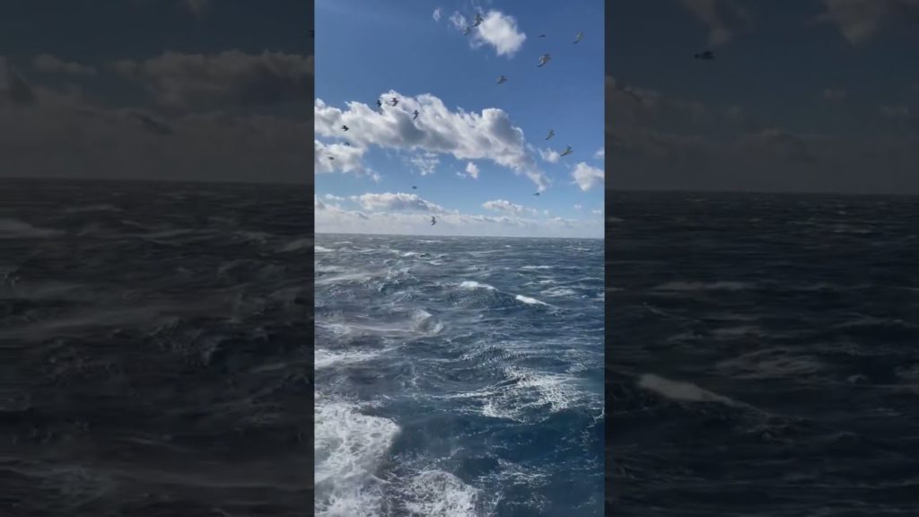 Open sea of Sendai, Japan 😍