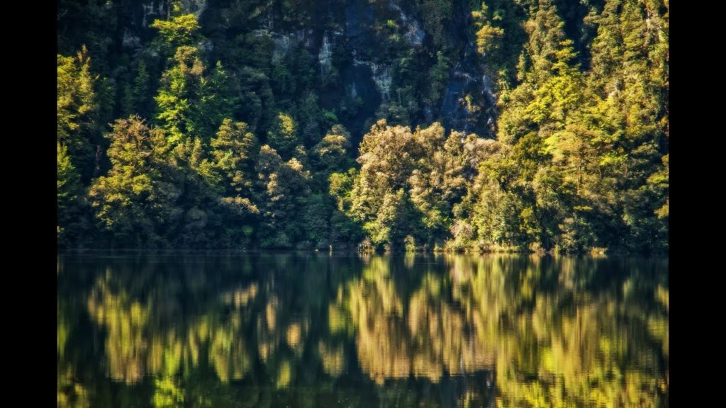 Milford Track Guided Walk
