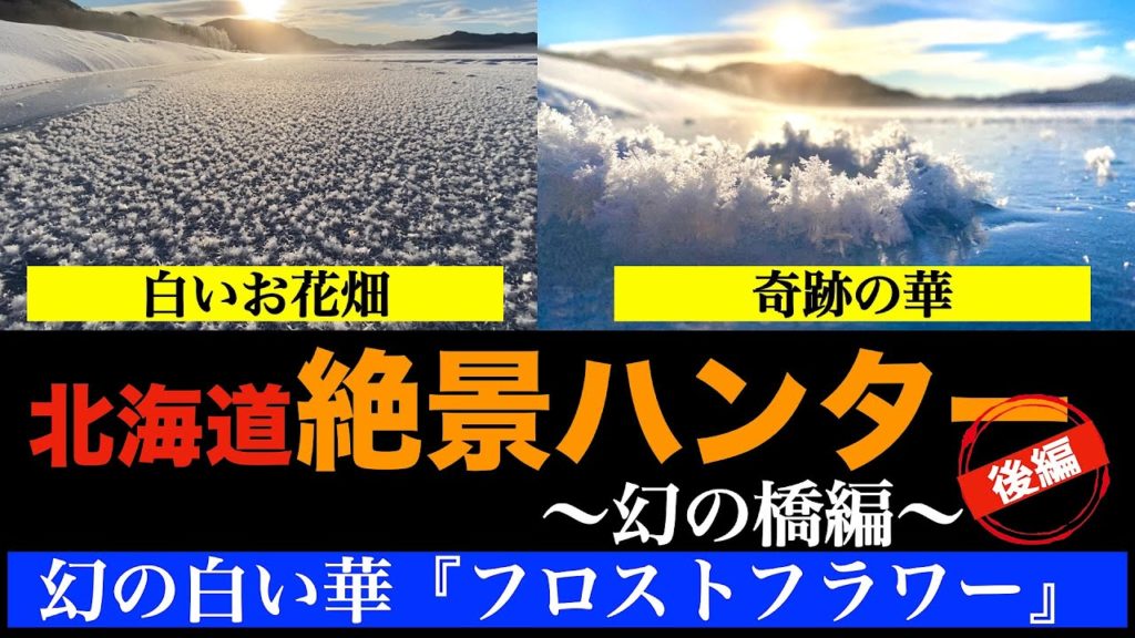 【北海道絶景ハンター　〜幻の橋編②〜】糠平湖に咲く白いお花畑の絶景『フロストフラワー』　厳冬期にしか咲かない奇跡の白い華 マイナス14℃の中ユリアは車に置き去りで大丈夫なのか？