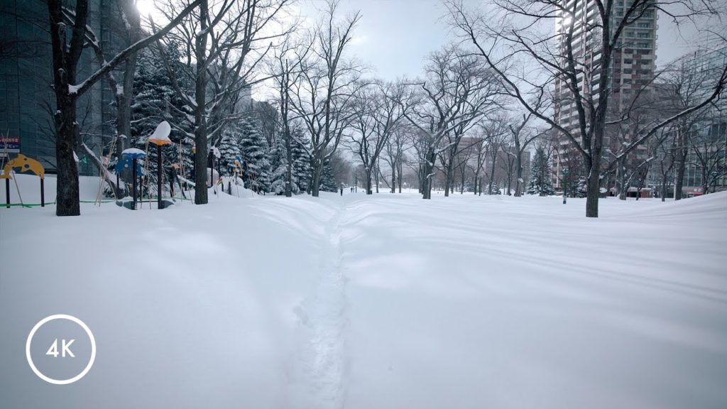 Walking in the fluffy snow in Sapporo Odori Park, Hokkaido, Japan | 4K ASMR Walking in the fluffy snow in Sapporo Odori Park, Hokkaido, Japan | 4K ASMR