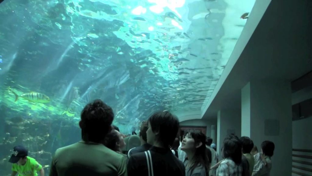 Aquario de Nagoya - 2009 Parte 1 - Naoshi