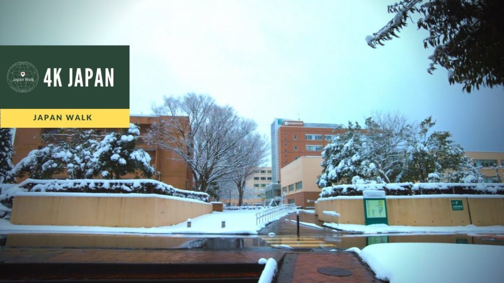 Snow 4K Japan Walk - NIIGATA Nagaoka University of Technology  Neighborhood Walking Tour | 新潟長岡 2021