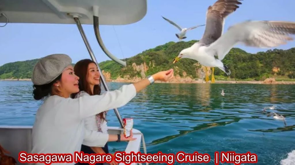 Phương vlog_Sasagawa Nagare Sightseeing Cruise Niigata Murakami city, Japan