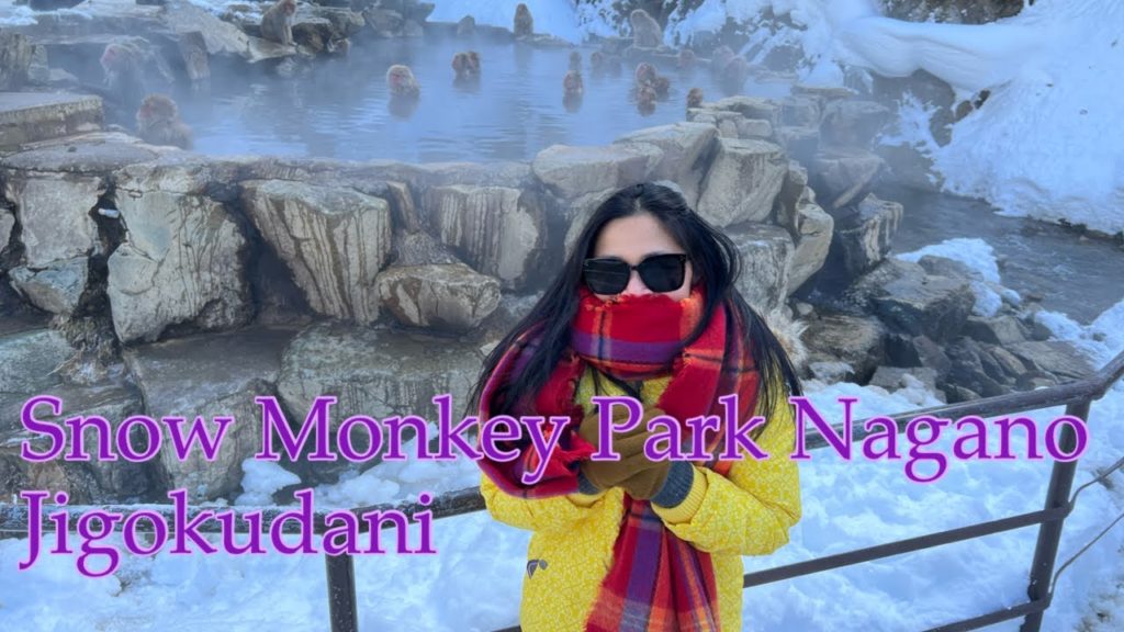SNOW MONKEY PARK NAGANO SNOW MONKEY PARK NAGANO