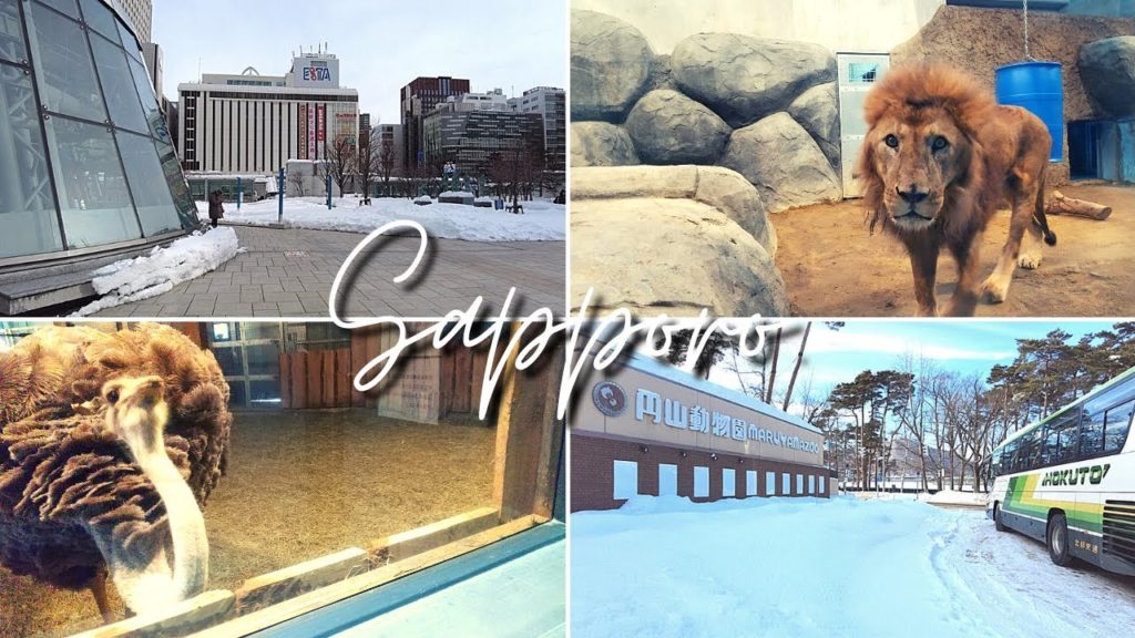 冬の北海道旅行✈︎【札幌】雪積もる円山動物園 | Travel Vlog