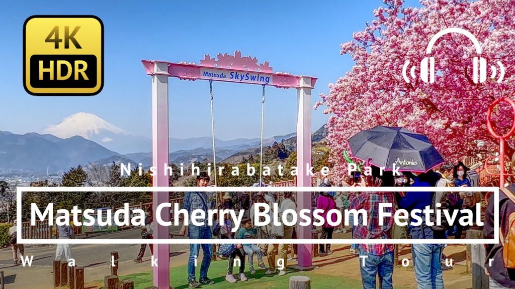 [4K/HDR/Binaural] Matsuda Cherry Blossom Festival 2022 Walking Tour - Kanagawa Japan