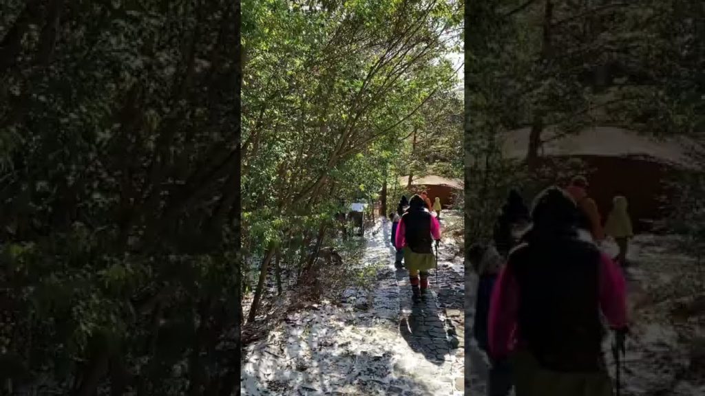 【4K Japan #Shorts】Onami-ike Lake in Kagoshima Prefecture | Japan's Highest Crater Lake