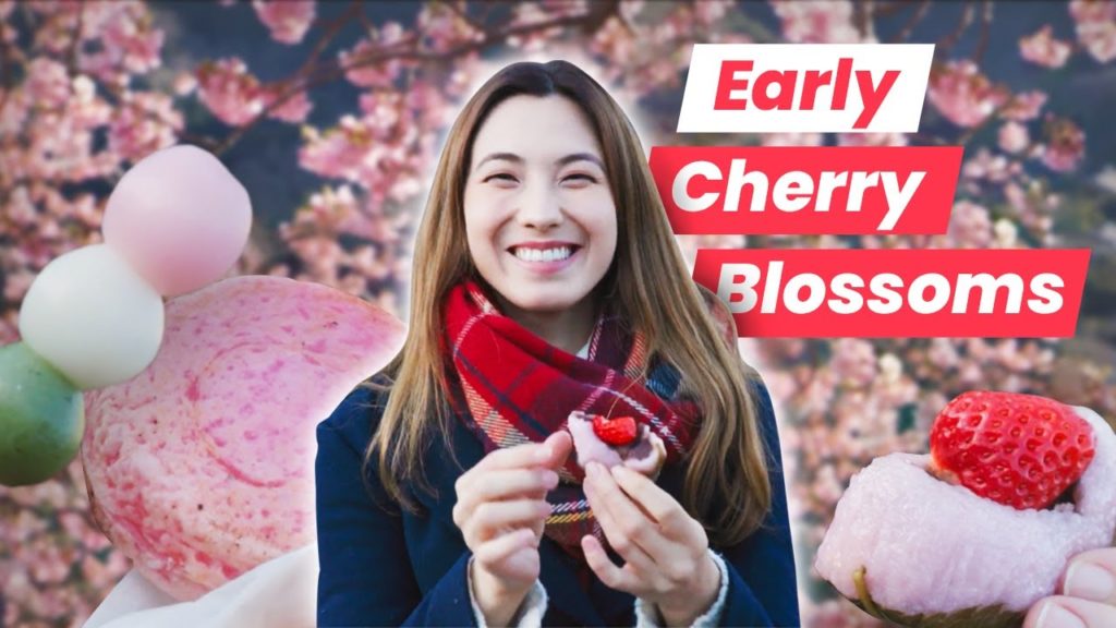 Cherry Blossom Picnic: Enjoying Japanese Sakura Inspired Food in Kawazu Cherry Blossom Picnic: Enjoying Japanese Sakura Inspired Food in Kawazu