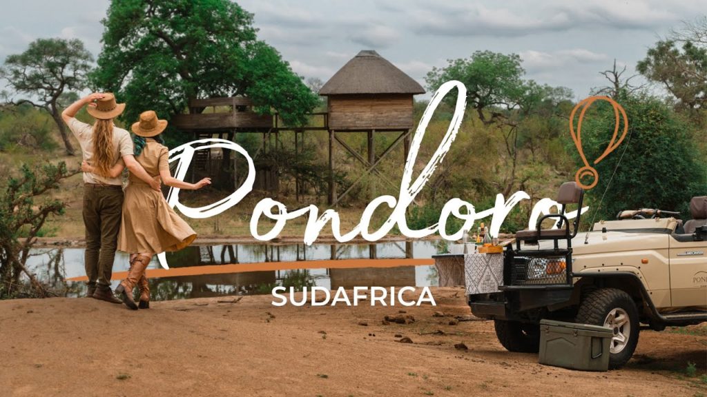 Viaggio nel Safari Lodge MIGLIORE DEL MONDO! ๐ Viaggio nel Safari Lodge MIGLIORE DEL MONDO! ๐