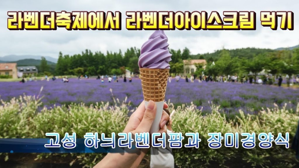 [고성여행] 라벤더축제에서 라벤더아이스크림먹고 3대천왕에 나온 돈까스 집 방문