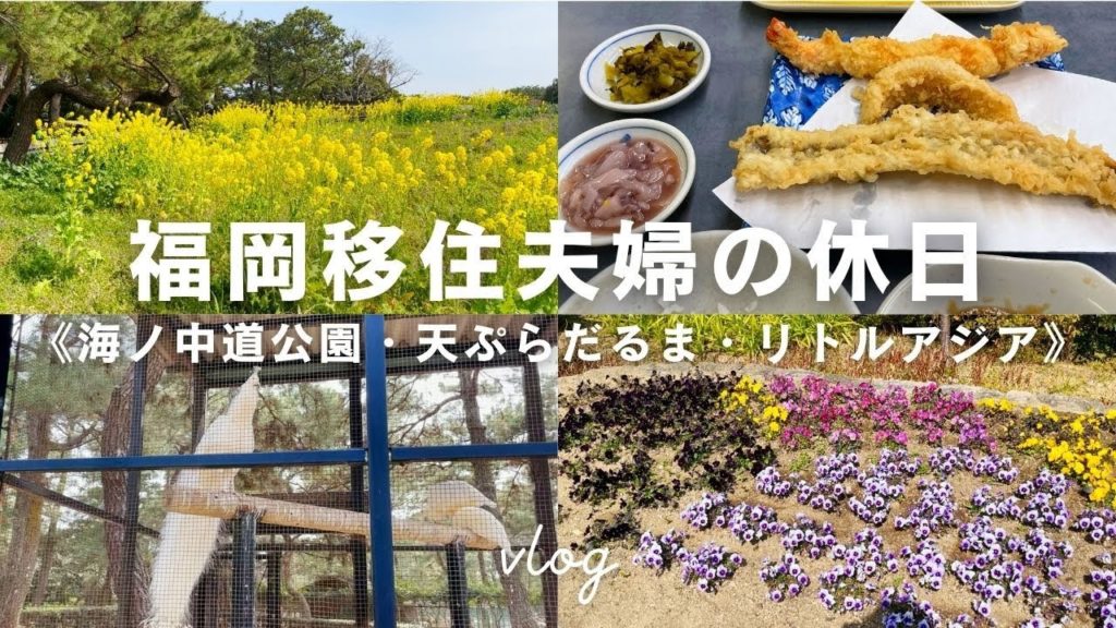 【休日vlog】福岡移住夫婦の休日｜海ノ中道公園・天ぷらだるま・リトルアジアマーケット