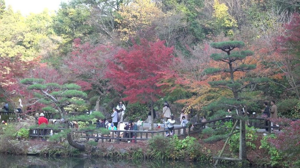【4K】Nagoya Autumn colors around HigashiyamaZoo 【Ultra HD】東山動物園/紅葉ライトアップ 【4K】Nagoya Autumn colors around HigashiyamaZoo 【Ultra HD】東山動物園/紅葉ライトアップ