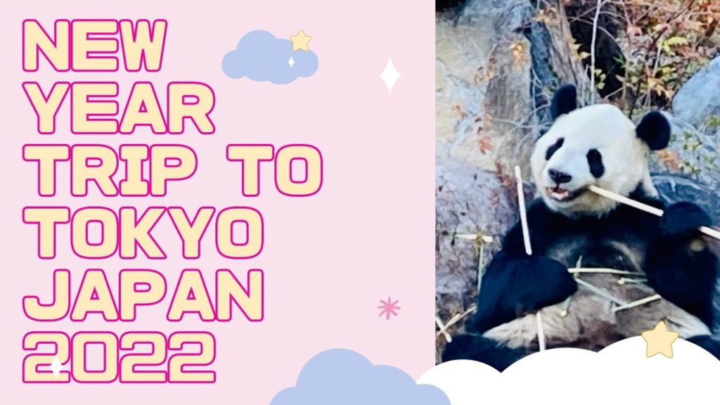 New Year Trip to Tokyo Japan 2022 ⭐️Voyage du Nouvel An à Tokyo au Japon 2022⭐️2022年 お正月旅行 New Year Trip to Tokyo Japan 2022 ⭐️Voyage du Nouvel An à Tokyo au Japon 2022⭐️2022年 お正月旅行