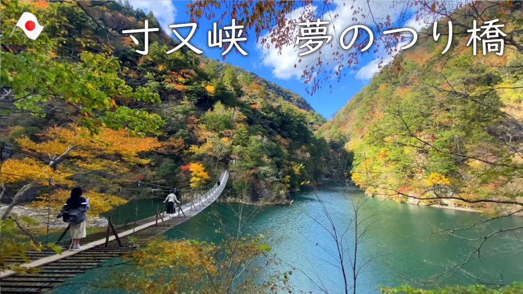 【寸又峡】わんことお出かけ静岡寸又峡温泉散策 a trip to walk with the dog SumatakyoOnsen-Shizuoka-japan 【寸又峡】わんことお出かけ静岡寸又峡温泉散策 a trip to walk with the dog SumatakyoOnsen-Shizuoka-japan