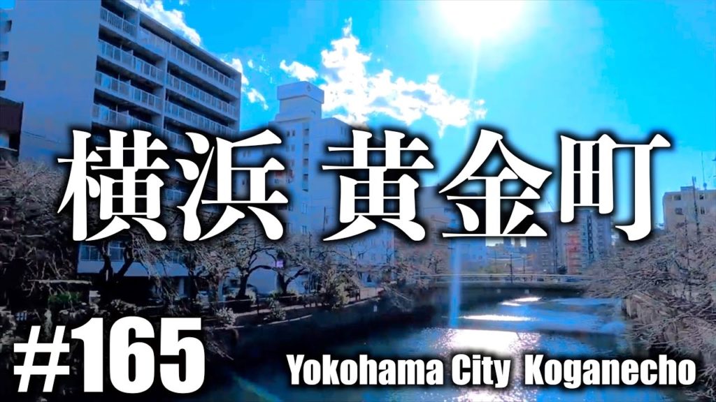 #165 【4K】 Yokohama / Koganecho