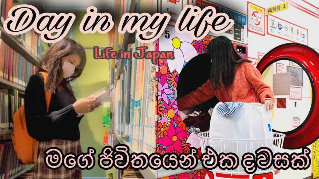 Life in Japan | මගේ ජිවිතයෙන් තවත් එක දවසක් | Day in My Life | Grocery Shopping | Study | SHEIN Haul