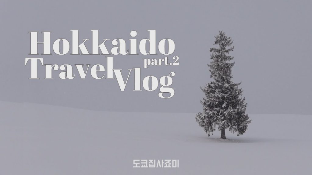 #홋카이도2박3일 #랜선여행 part.2 크리스마스트리나무 비에이 오타루 삿포로 징기스칸 #홋카이도2박3일 #랜선여행 part.2 크리스마스트리나무 비에이 오타루 삿포로 징기스칸