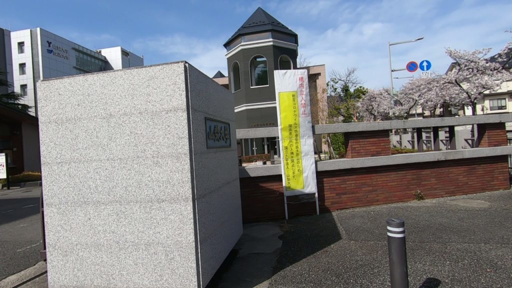 University Of Yamanashi at Sakura Season - Cherry blossom at University of Yamanashi