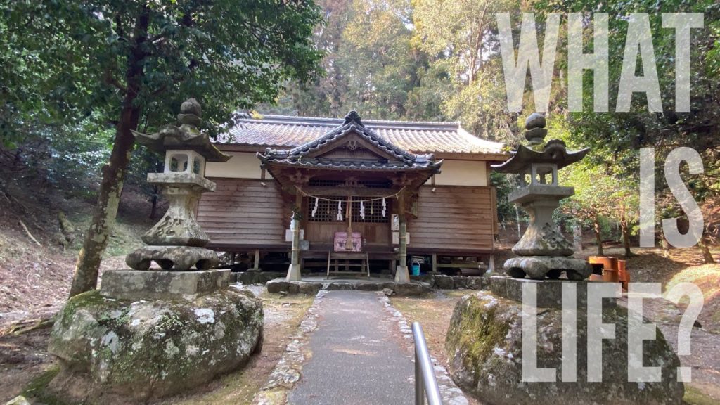 KUMANO SANSHO SHRINE (Kochi prefecture, Japan) [Shorts Travel]