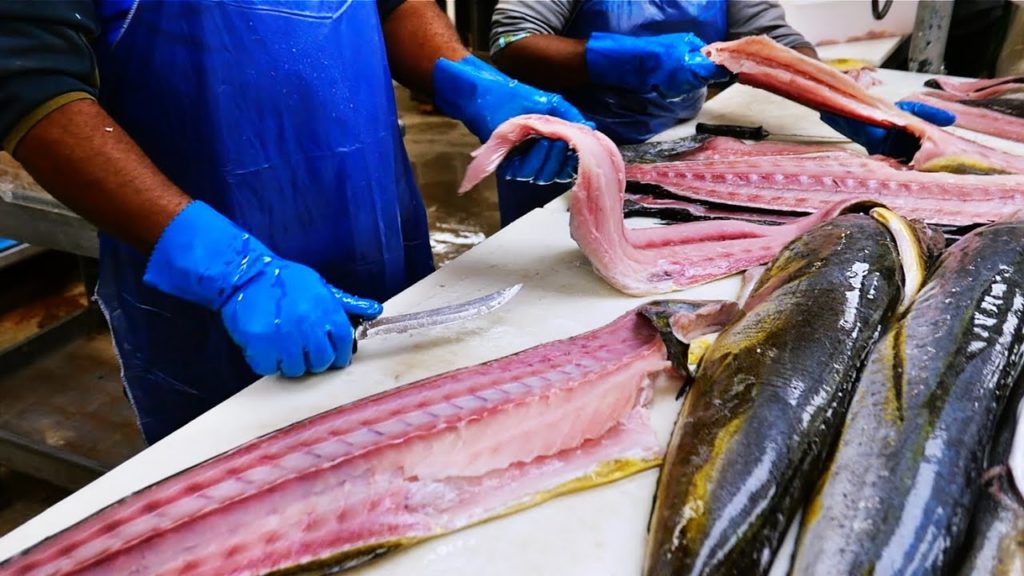 Miami Food - GIANT MAHI MAHI and GROUPER FISH Key Largo Fisheries Seafood Florida
