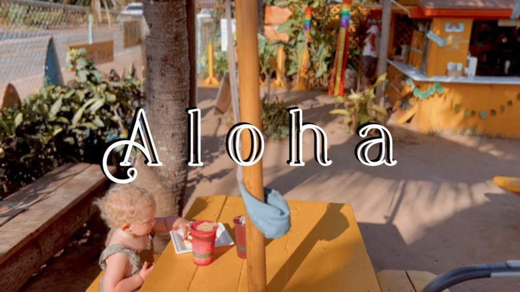 TRAVEL VLOG β Oahu, Hawaii β Sunrise Shack, Dolphins, Aulani π΄ππΊ TRAVEL VLOG β Oahu, Hawaii β Sunrise Shack, Dolphins, Aulani π΄ππΊ