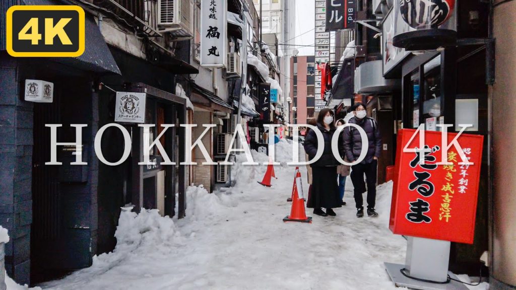 【4K すすきの散歩】雪が散らつく昼間のススキノ HOKKAIDO Sapporo Walk