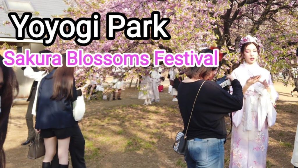 [4K] Yoyogi Park | Sakura Blossoms Festival. Tokyo 🗼 . Japan 🇯🇵 . March 2022.