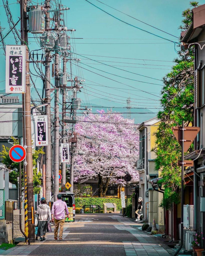 Springtime on the streets of Osaka 
: @glennsuki
-----
Osaka, #Japan
.
.
.
.
.
...