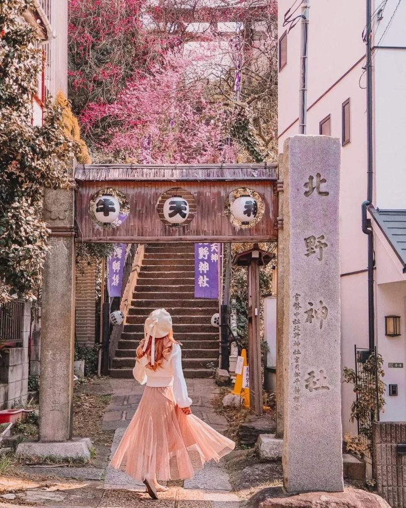 Japan Travel: If you’re after a plum blossom spot without the crowds, @ariel.land recommends T… If you're after a plum blossom spot without the crowds, @ariel.land recommends T...