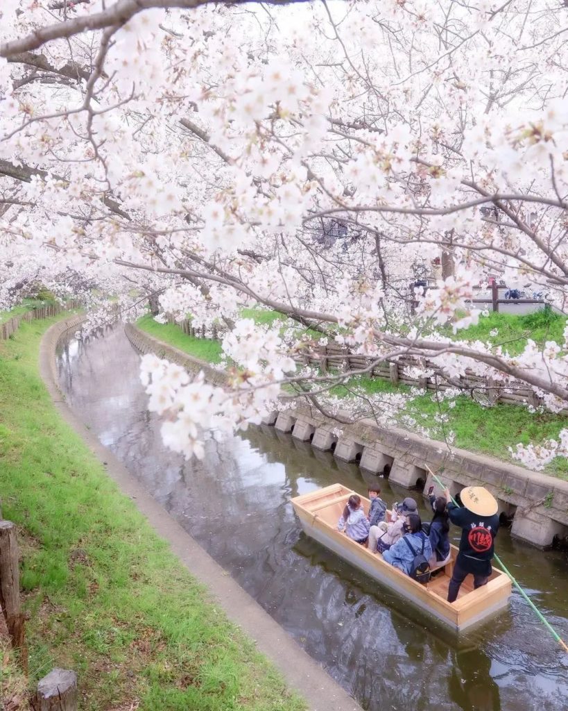 This beautiful springtime destination is located an easy daytrip from central To...