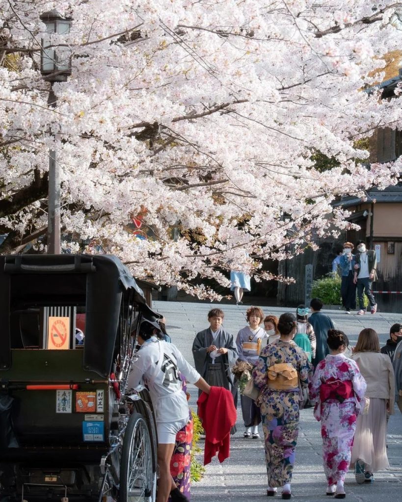 Looking forward to the streets of Kyoto being filled with blossoms just like thi...