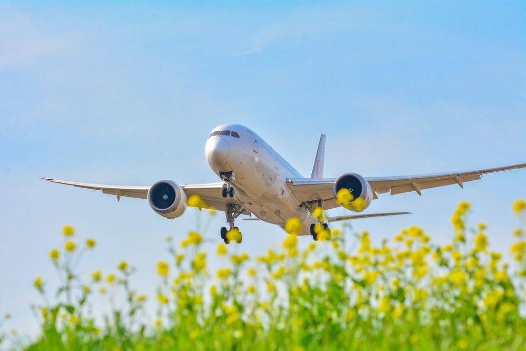 Japan Airline: .
見に行きたい春の花は?
コメントで番号を教えてください︎
1.桜
2.菜の花
3.ネモフィラ
#ChargeUpMarch What spring fl… .
見に行きたい春の花は?
コメントで番号を教えてください︎
1.桜
2.菜の花
3.ネモフィラ
#ChargeUpMarch What spring fl...