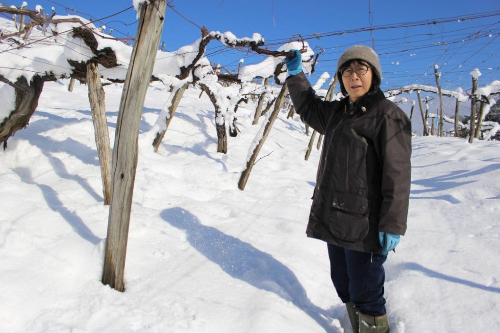 Winemaker Noriko Kishidaira studied and trained in Burgundy and the Loire Valley...