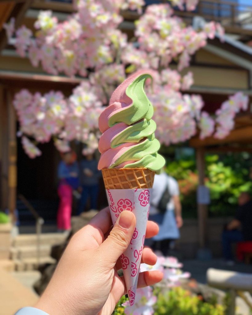 A matcha made in heaven! 

As spring arrives, sakura-flavoured sweets start popp...