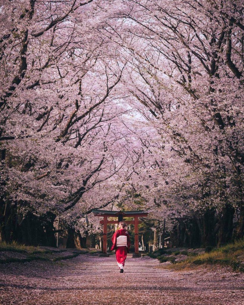 Visit Japan: The picturesque path to the red torii gate of Higashi-Fukita Tenmansha Shrine is… The picturesque path to the red torii gate of Higashi-Fukita Tenmansha Shrine is...