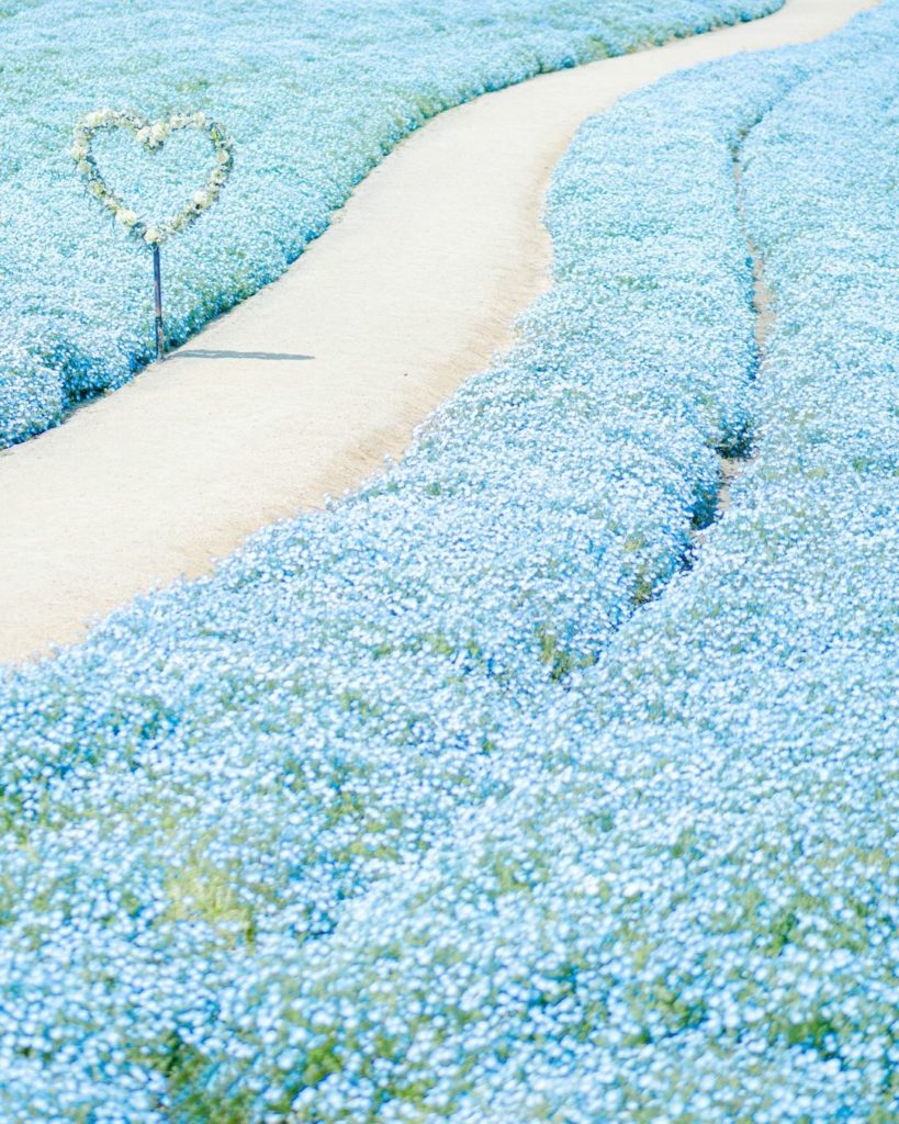 Japan Airline: .
ネモフィラ畑が広がる淡路ファームパーク #イングランドの丘
春を感じながらお散歩
#ChargeUpMarch Awaji Farm Park Engl… .
ネモフィラ畑が広がる淡路ファームパーク #イングランドの丘
春を感じながらお散歩
#ChargeUpMarch Awaji Farm Park Engl...