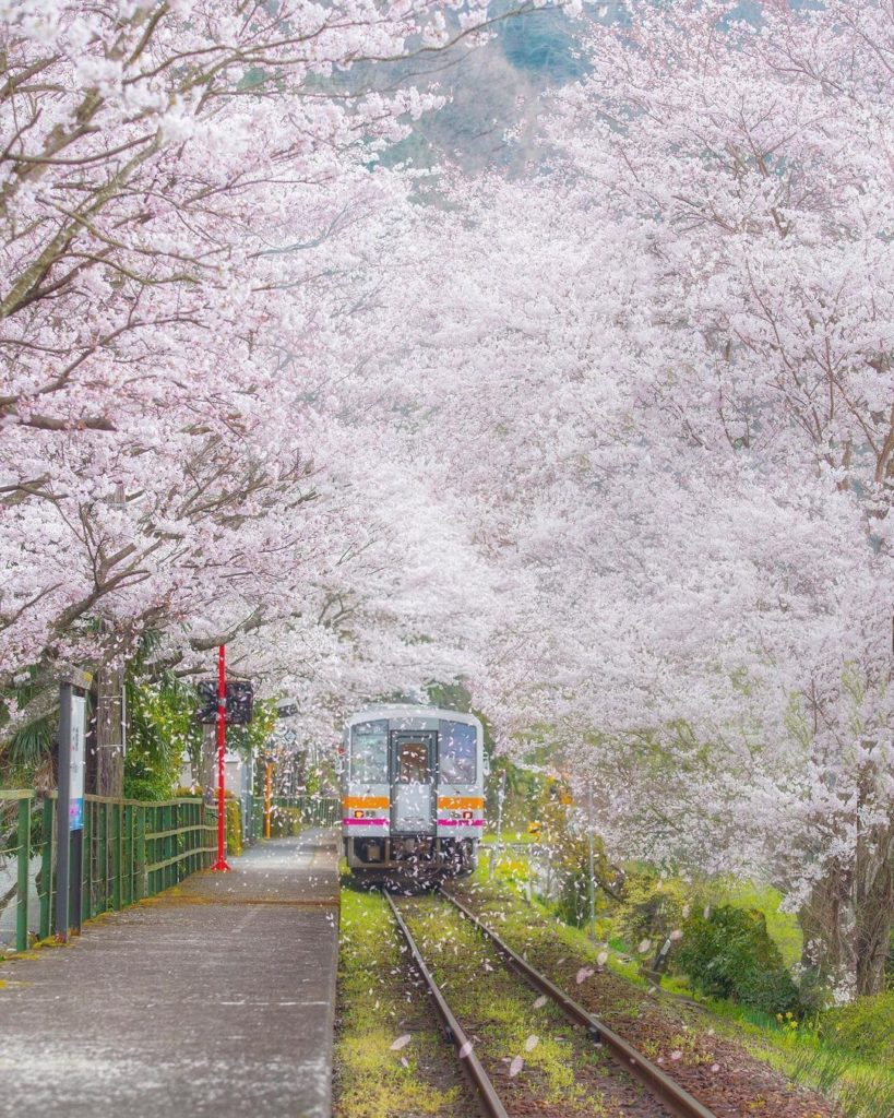 A picture-perfect spot to wait for a mate.  One of the best things about travel...