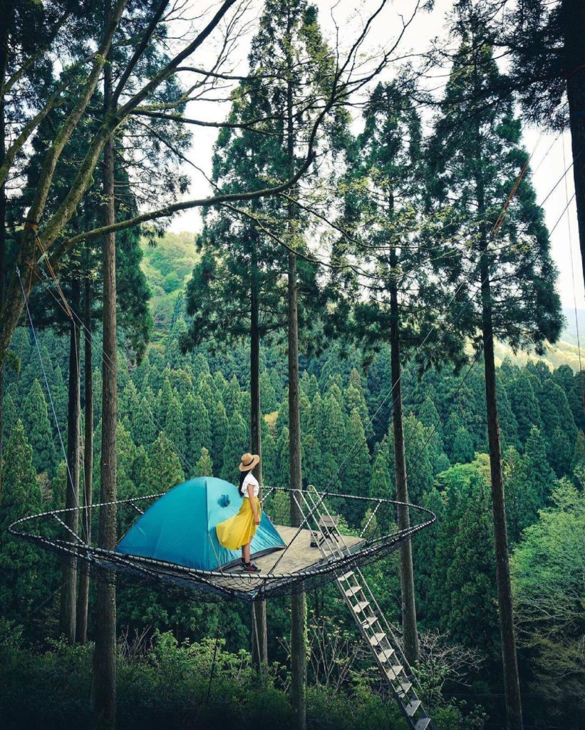 Nestled in the heart of the forest, Tree Picnic Adventure Ikeda is all about lea...