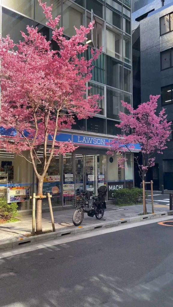 Sakura season vibes 
: @hideyoshifujii
-----
#Tokyo, #Japan
.
.
.
.
.
#JapanTra...