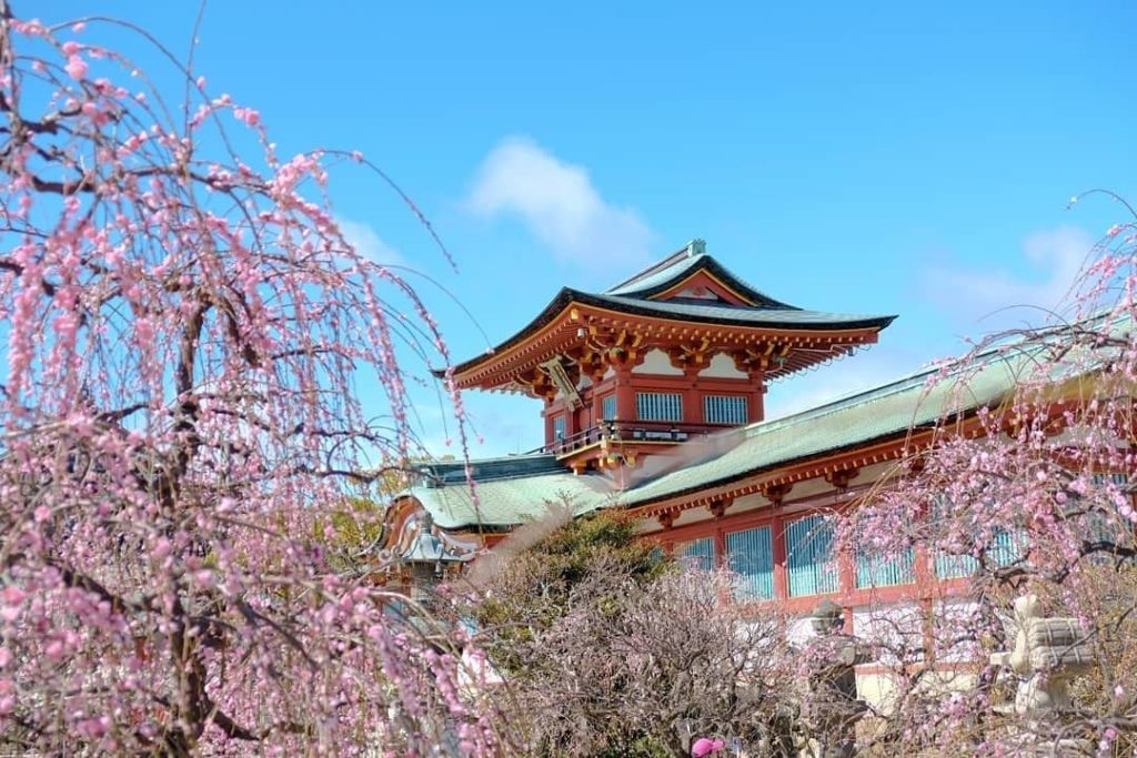 Visit Japan: Doesn’t the vermillion shrine represent itself elegantly?
This remarkable build… Doesn't the vermillion shrine represent itself elegantly?
This remarkable build...